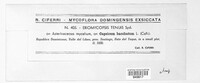 Eriomycopsis tenuis image